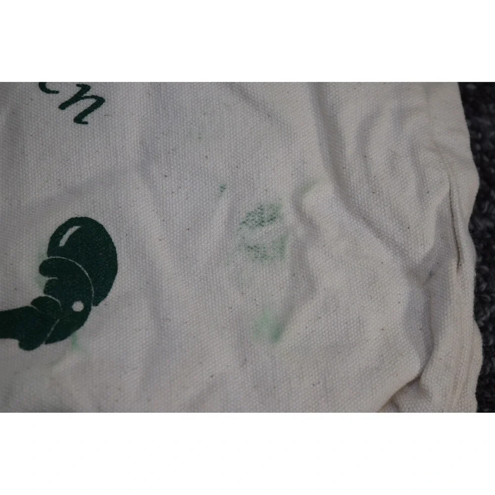 Grasshopper Green Preschool Canvas Tote Bag Ava 13x14 Kids School White Green